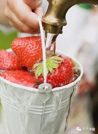 水果奶奶的高手公式，解锁健康与美味的秘密