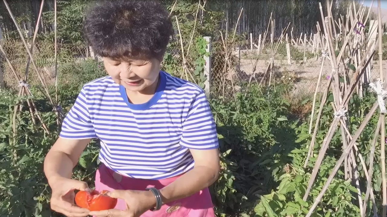 水果奶奶的肖一码资料，解锁健康与快乐的秘密