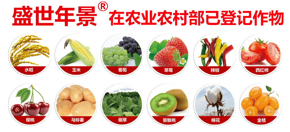 水果奶奶报码，揭秘其背后的级别与影响力