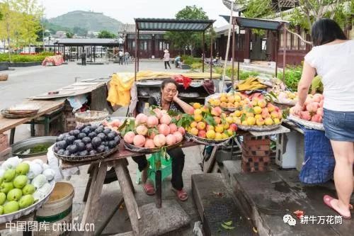水果奶奶资料网，连接自然与健康的桥梁