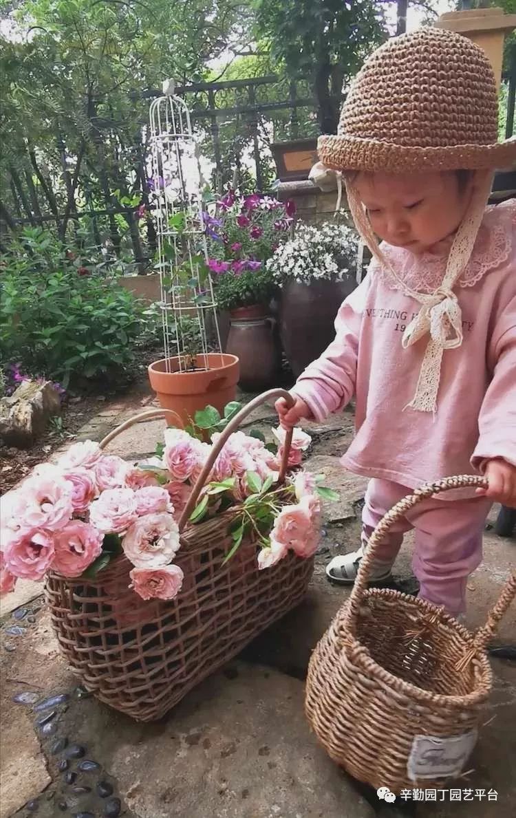 水果奶奶心水主论坛