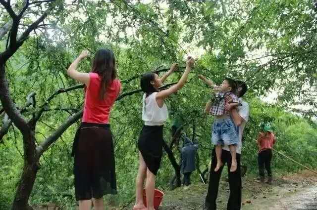 健康美味 第4页