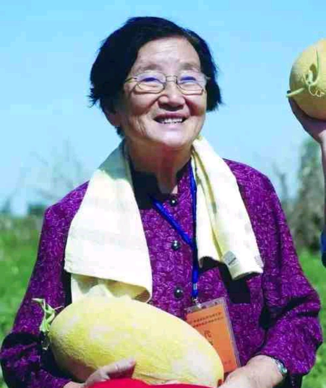 凤凰论坛上的水果奶奶，一位平凡中的非凡人物