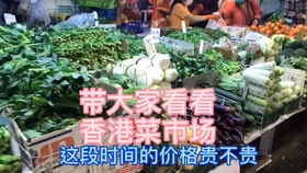藏宝图 第409页