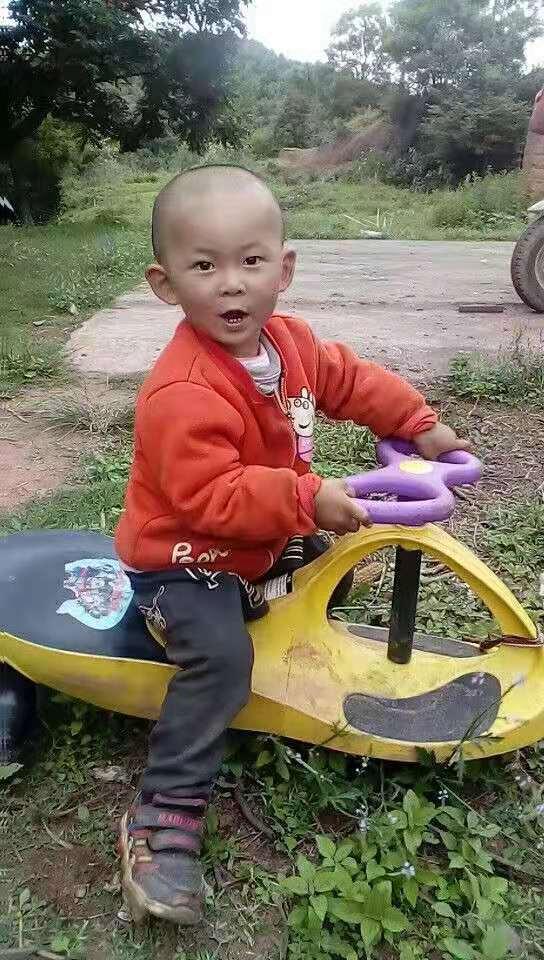 水果奶奶论坛，共享甜蜜，共筑健康生活