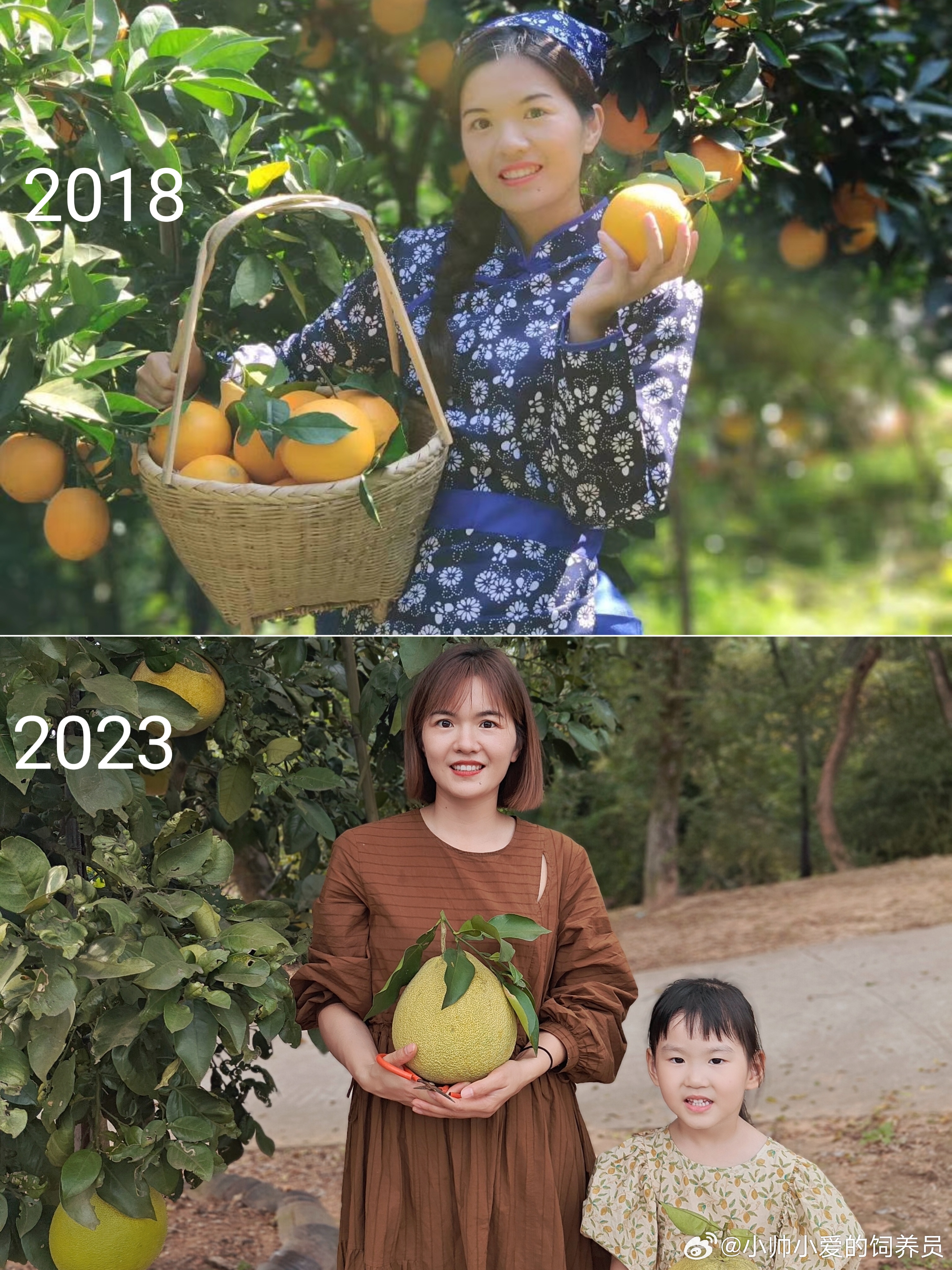 2357与水果奶奶，一场跨越时空的图片对比之旅