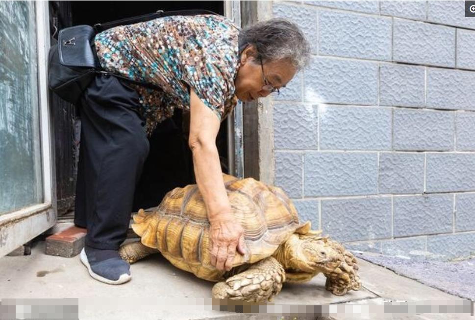 水果专题 第396页