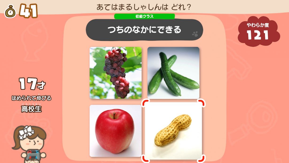 水果奶奶心水专区，解锁健康与美味的最佳选择