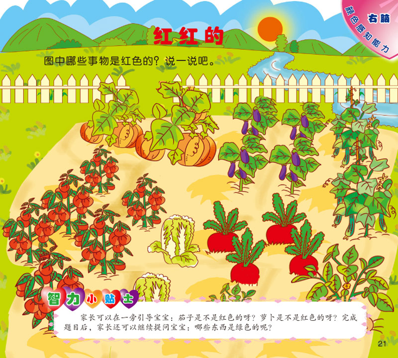 水果奶奶藏宝图正版解析大全，解锁童趣与智慧的双重宝藏
