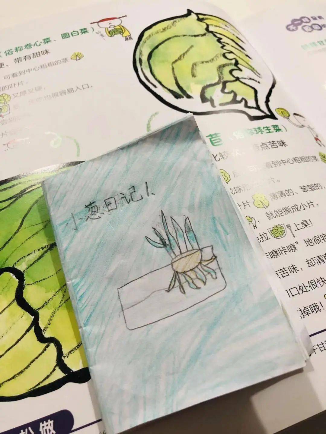 水果奶奶的宝藏图，绘制奇妙探险之旅