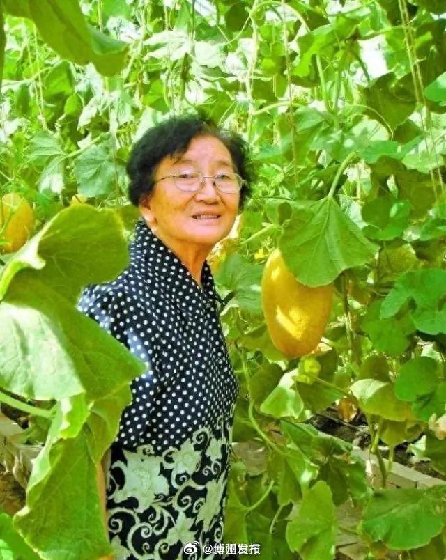 83120，水果奶奶手机论坛的最新动态与影响