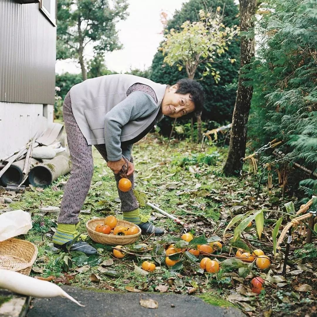 水果奶奶的最新7963风潮，从田间到餐桌的新鲜探索