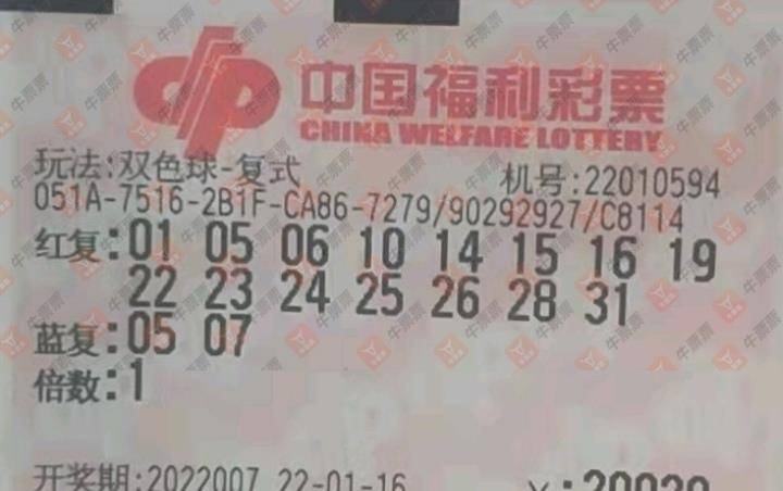 2019年双色球第53期，梦想与幸运的碰撞