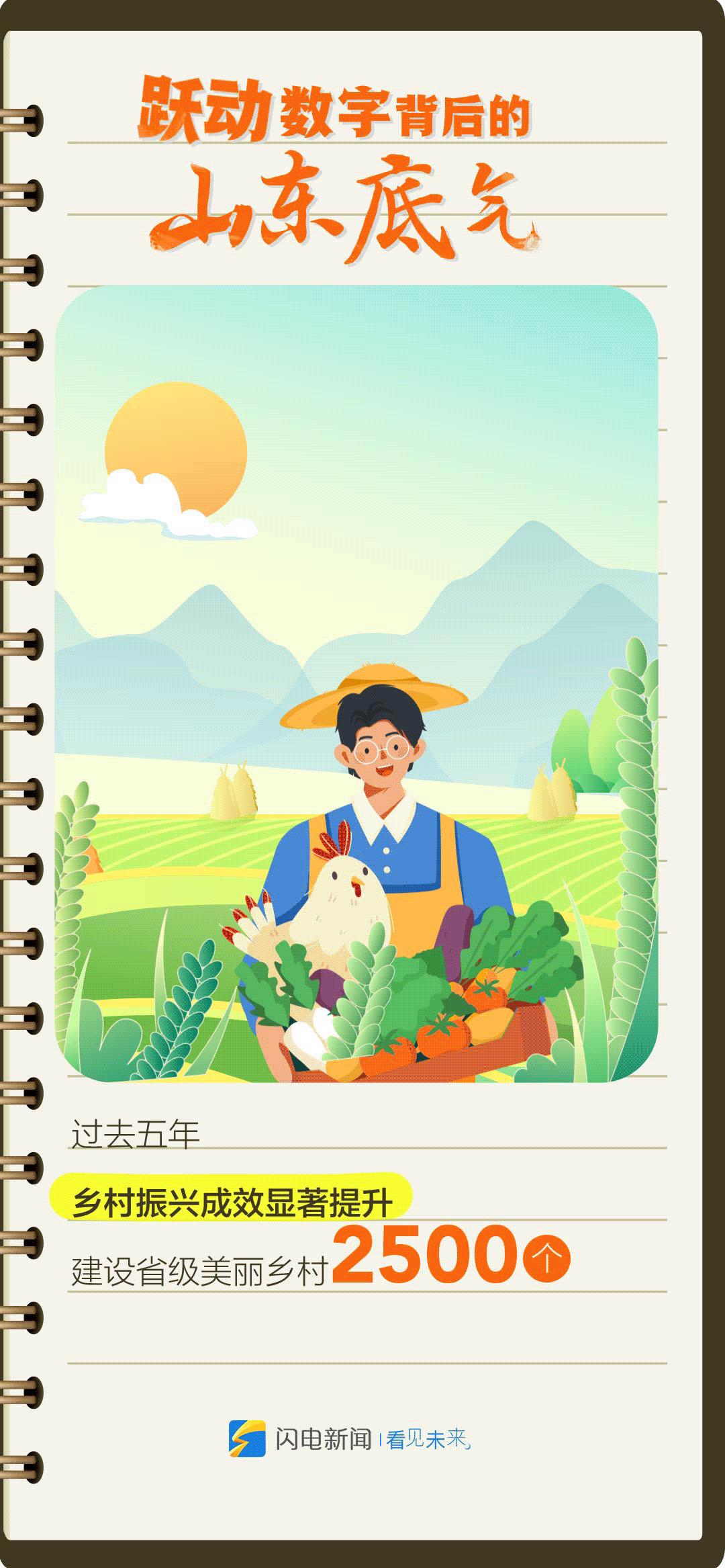 今日3D专家推荐号码，揭秘数字背后的奥秘