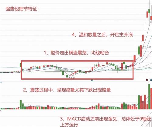 3D彩票，探索最新开机号近10期趋势与策略
