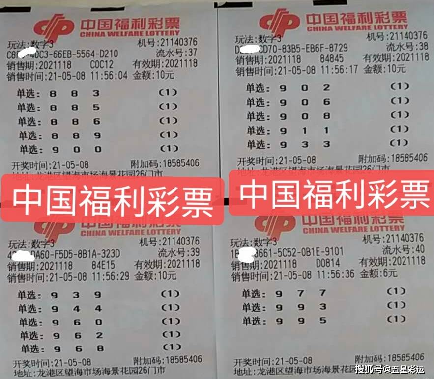 探索内蒙古福彩3D，揭秘开奖结果查询的奥秘与乐趣