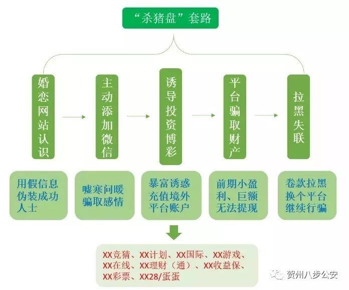 彩客彩票网首页官网下载，安全、便捷的在线购票体验