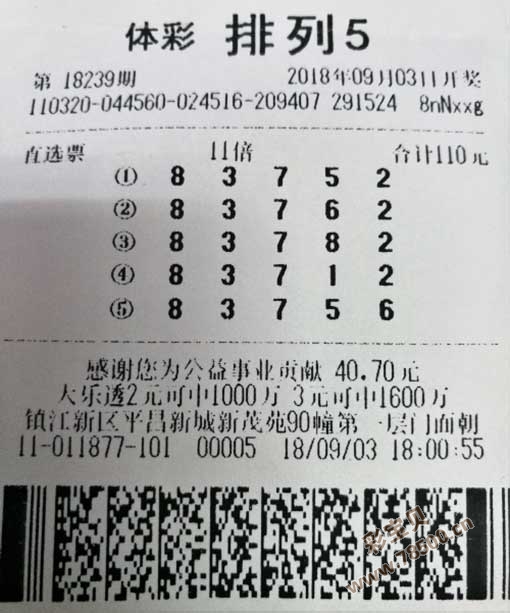 排列五今日开奖号码结果揭晓，数字游戏的魅力与期待