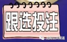 探索双色球机选号码的奥秘，随机与幸运的艺术