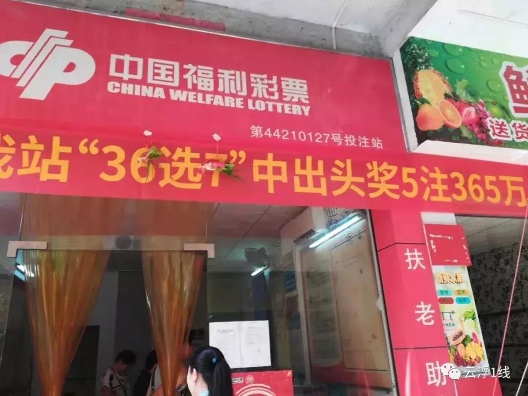 365彩票新版官方App下载，重塑娱乐体验的革新之选