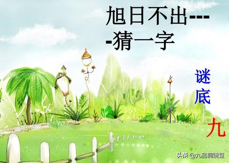 智慧与趣味