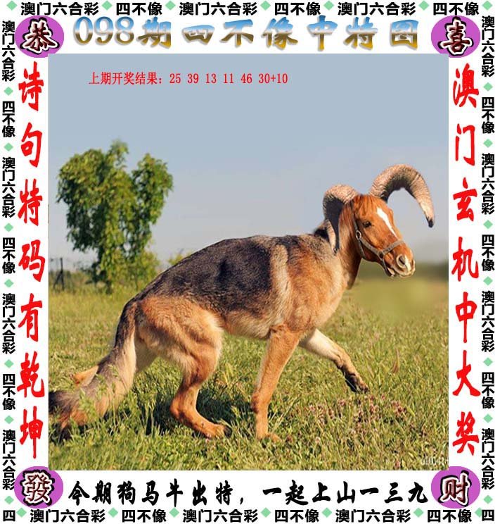 揭秘今日特马图四不像的神秘面纱新奥最精准免费大全