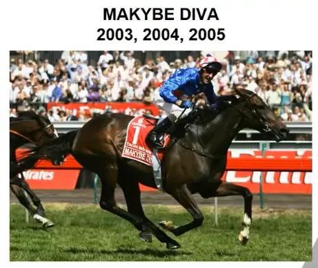 香港马会全年资料大全，一册在手，尽览精彩香港2021年马会资料大全