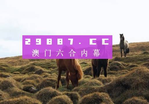 2034年今晚澳门开奖记录，透视数字背后的故事与影响2023今晚澳门开奖记录11