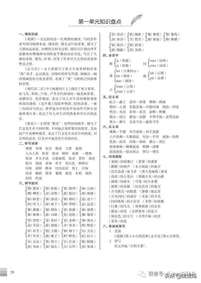揭秘四肖期中准，精准预测的背后与理性分析4肖期期中精准4肖精确资料