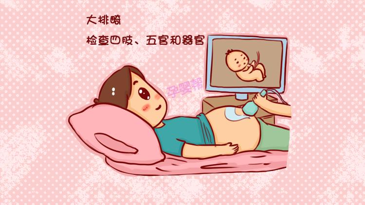 探索白小姐一码中期期开奖结果，揭秘彩票背后的数字游戏白小姐一码中期期开奖结果查询7