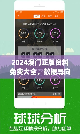 探索新澳好彩，204年免费资料查询的深度解析2025年正版资料免费大全