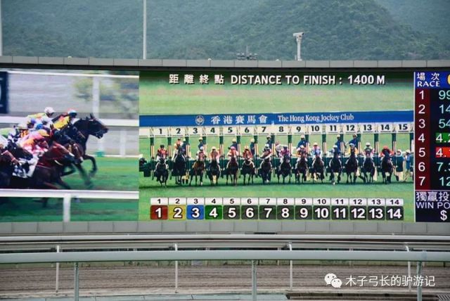 2019香港马会资料大全免费，全面解析与深度解读香港2021年马会资料大全