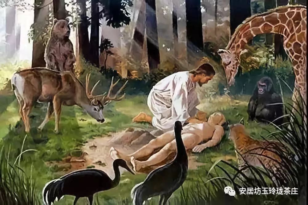 探索红五图库、天牛与神秘数字97654的奇幻之旅红五图库天牛图库天97654今天彩报