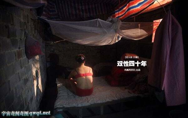 双性人生殅器图片欣赏
