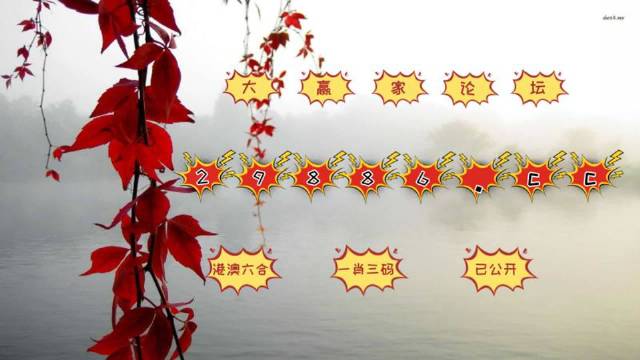 曾道正版资料免费大全，一肖之谜的探索与反思曾道正版资料免费大全一肖一码双色球开奖结果