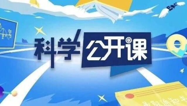 探寻二四六天天好彩的奥秘，943.256背后的数字哲学与人生启示