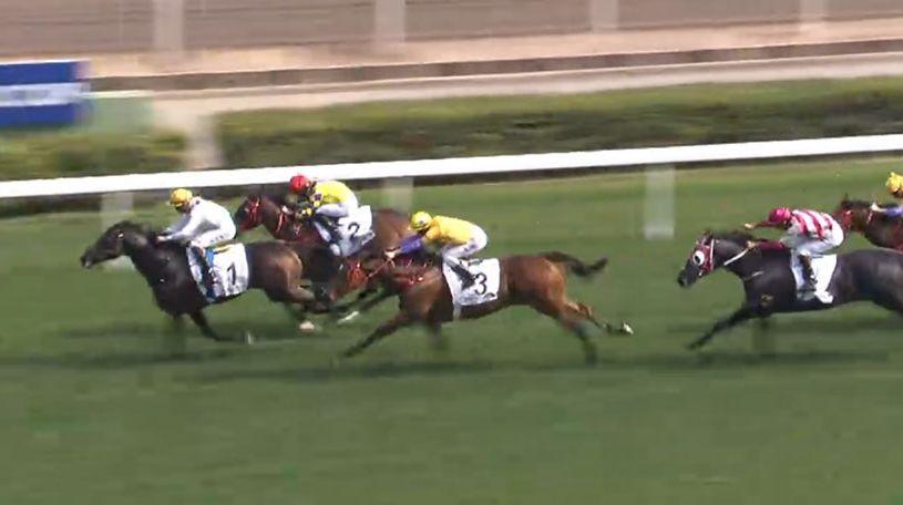 香港6月最新疫情追踪，新增病例活动轨迹与防控措施更新香港6月6日新增病例活动轨迹最新公布